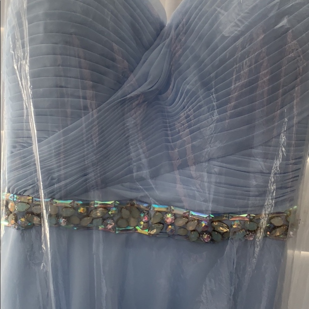 Alyce Paris Gown